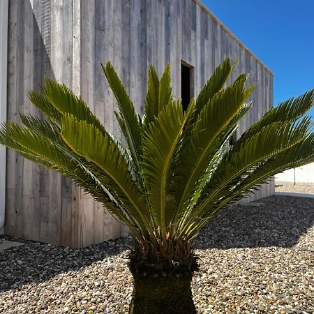 Al Casa Branca Villa Lourinhã